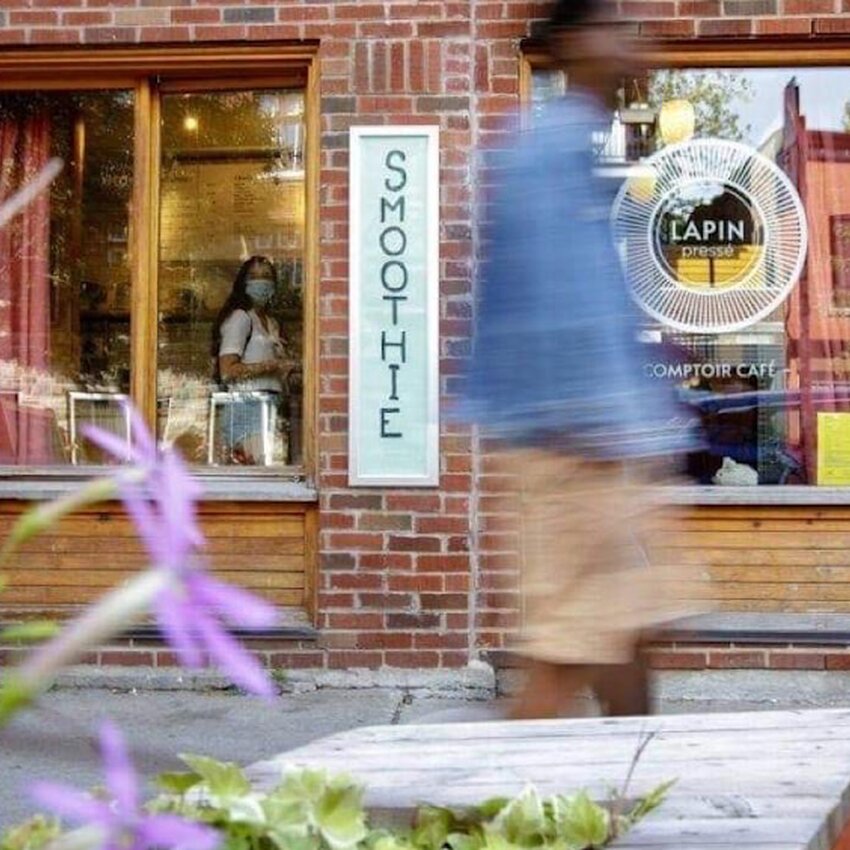 Lapin Press&eacute; - Grilled Cheese Ouverts le matin Montr&eacute;al