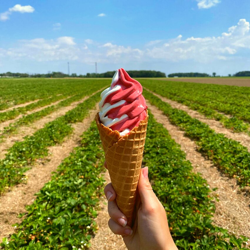 Au Silo Glac&eacute; - L'Assomption Restaurants