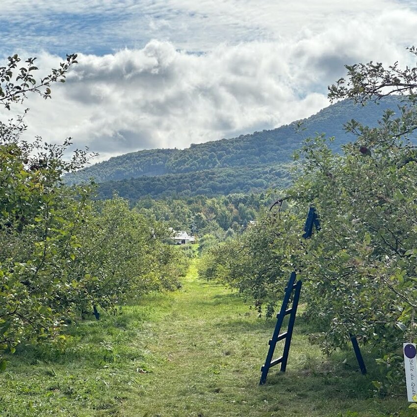 Au Pavillon de la Pomme - Restaurants pr&egrave;s de: J3H0K4