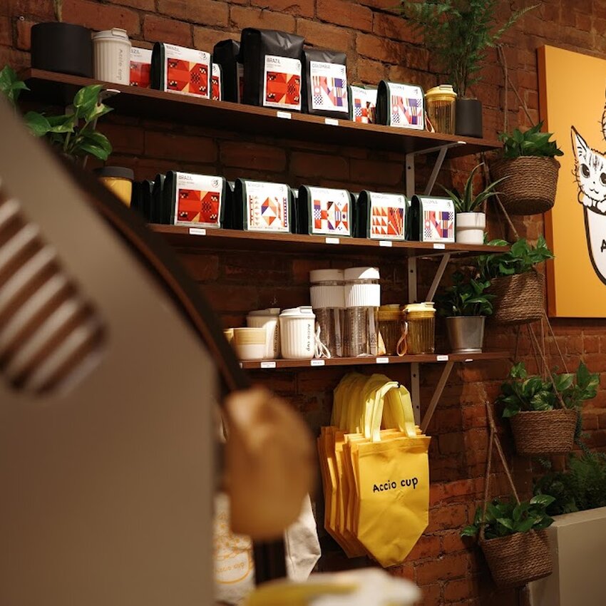 Accio Cup - Cafés du Centre-ville