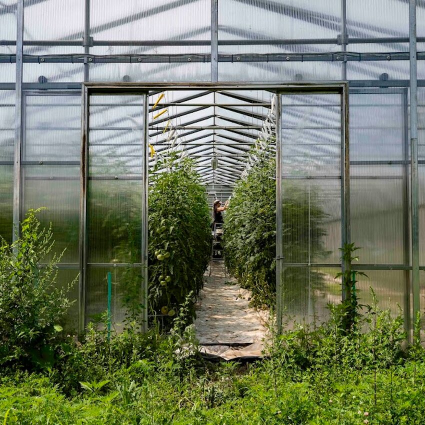 Les Jardins du Monarque - Fine Dining / Upscale Restaurants in Montreal