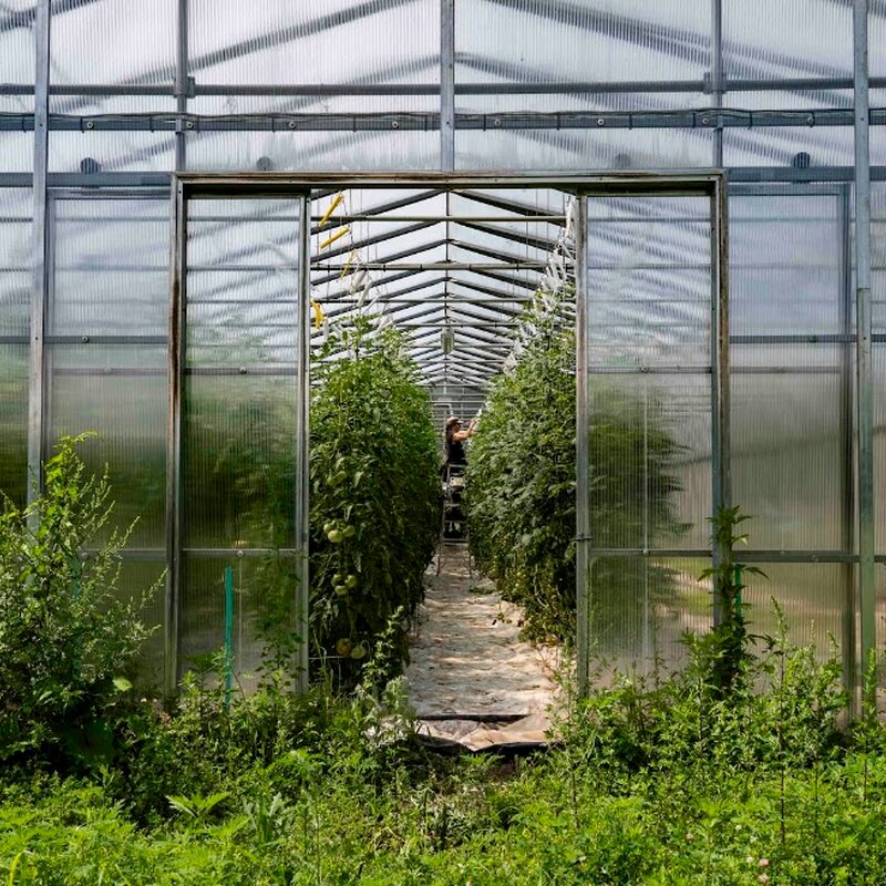 Les Jardins du Monarque - Restaurants Thématique / Expérience unique, Commande en ligne de Montréal