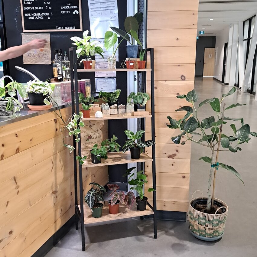 Autant-Go&ucirc;ter - Bubble Tea, Breakfast, Caf&eacute;s Restaurants Near: J8B2M4