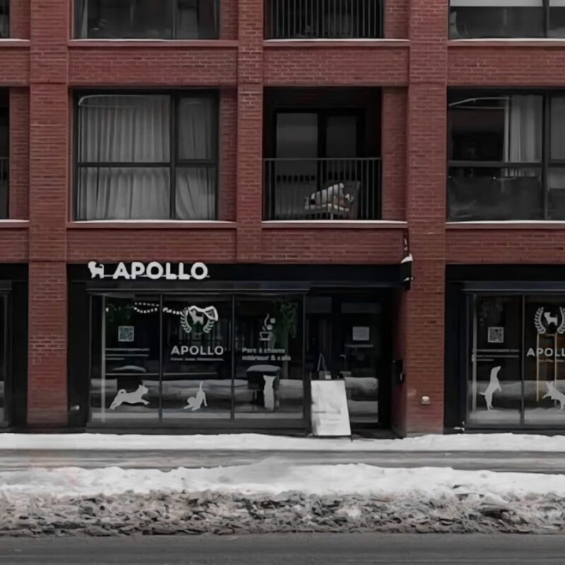 Apollo Indoor Dog Park & Coffee Bar - Breakfast, Cafés Restaurants in Montreal