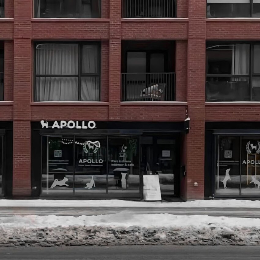 Apollo Indoor Dog Park & Coffee Bar - Restaurants Caf&eacute;s &agrave; Montr&eacute;al