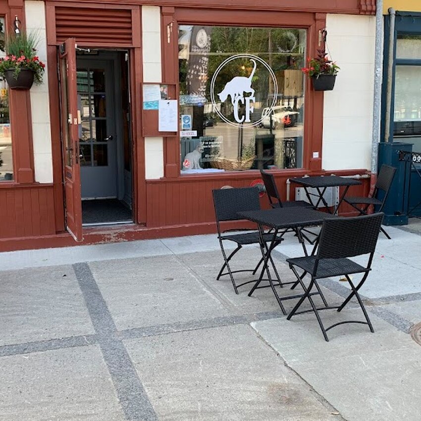 Café Félin Ma Langue Aux Chats - Soups, Salads, Cafés Restaurants in Old-Port
