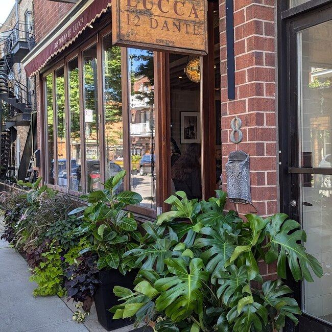 Lucca Restaurant - Pasta Restaurants Near: H2E1C8