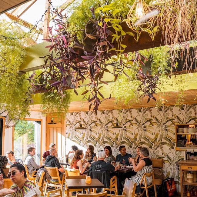 Bar Suzanne - Dumplings, Pizza Restaurants Near: H2V4E7