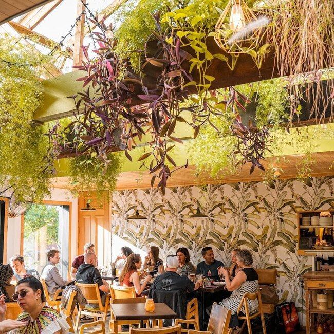 Bar Suzanne - Restaurants Tha&iuml;landais, Szechuannais, Chinois, Asiatiques, Vietnamiens Ouverts tard Montr&eacute;al