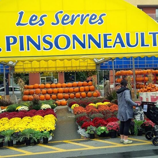 Lucille's Au Marché Restaurant