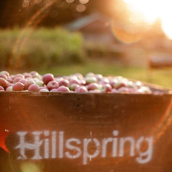 Vergers Hillspring - Restaurants Du Terroir, Boréals de la Montérégie (Rive-Sud)