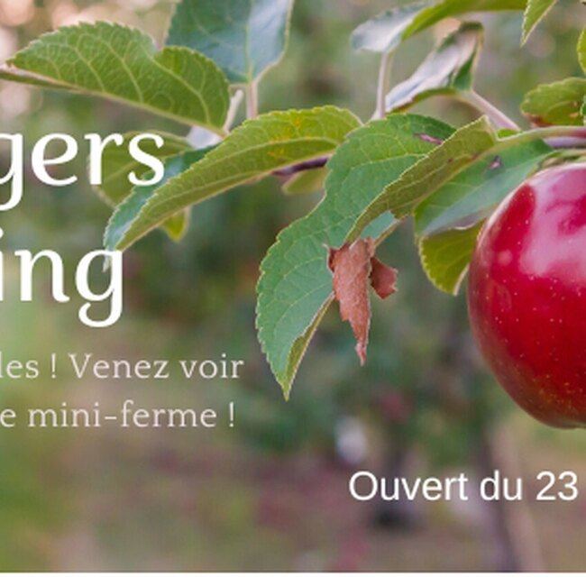 Vergers Hillspring - Restaurants Ouverts dimanche Ch&acirc;teauguay