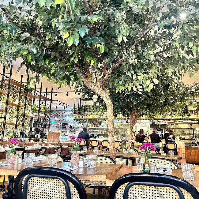 Pigeon Café & Bar Montreal - Menu, Reviews & More December 2025