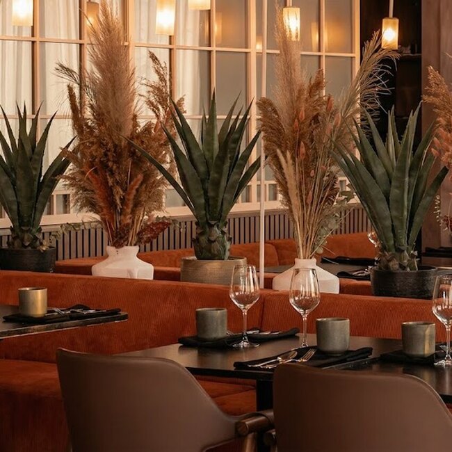 Cour Arrière Montreal Restaurant: Menu, Reviews & Reserve (2026)