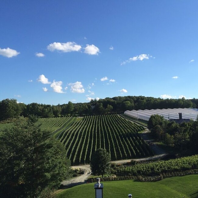 Le Vignoble du Ruisseau - Cabane &agrave; Sucre et distillerie / Bistro sur Braise - Great selection of wines Restaurants in Eastern Townships