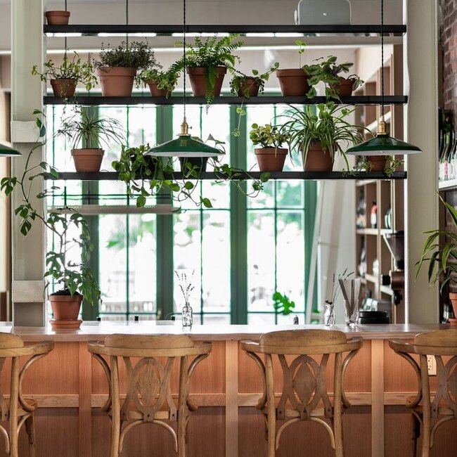 SUPERNAT - Montreal Wine Bars Open Sunday