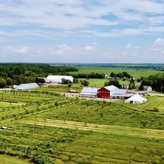 La Cité Agricole - La Cabane - Restaurants Thématique / Expérience unique de Québec