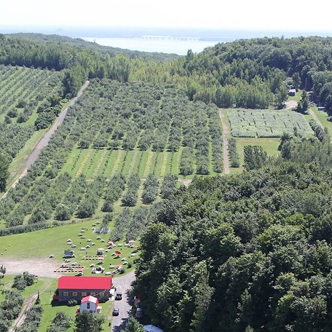 Labont&eacute; de la Pomme Restaurant