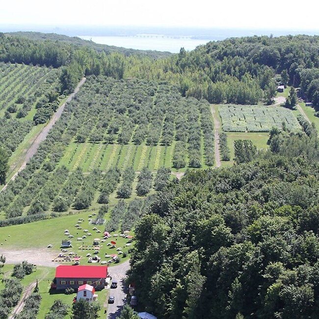 Labonté de la Pomme Oka : Menu, Avis & Réservation (2026)