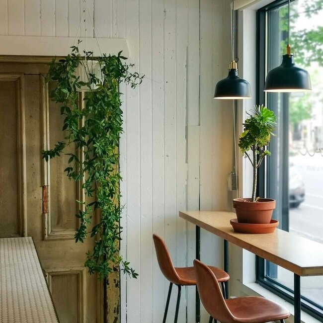 Mollo Caf&eacute; - Gelato -  Restaurants Near: H3E1J6