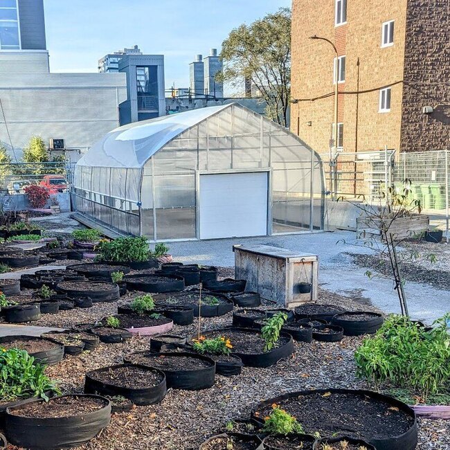Jardin D'Azur - Montreal Restaurants
