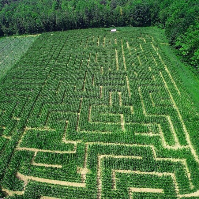 Verger Labonté Restaurant