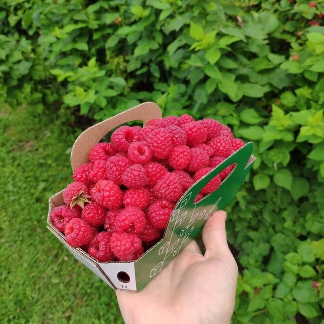 Vergers Pierre Tremblay & Fils -  Restaurants Near: J0J1K0