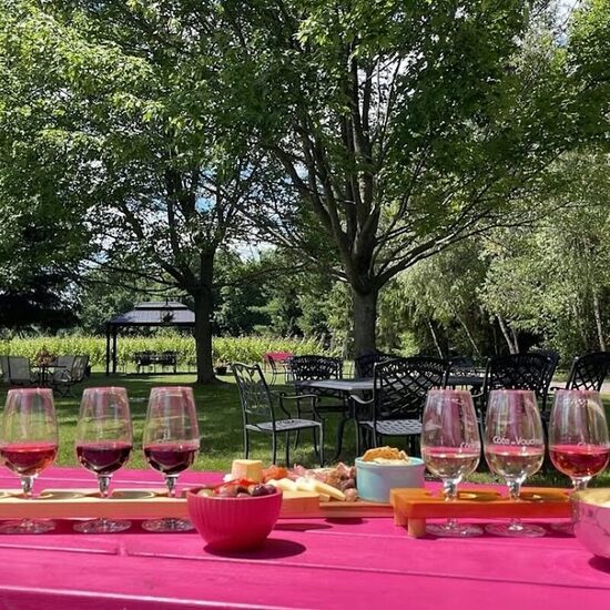 Photo de Vignoble Côte de Vaudreuil, Vaudreuil-Dorion