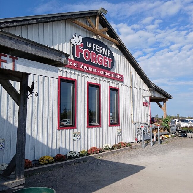 Ferme Forget - Montreal Tea, Desserts & Sweets Open Morning Restaurants