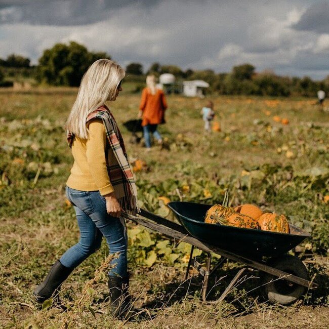 Centre d'Interpretation de la Courge Saint-Joseph-du-Lac Restaurant: Menu, Reviews & Reserve (2026)