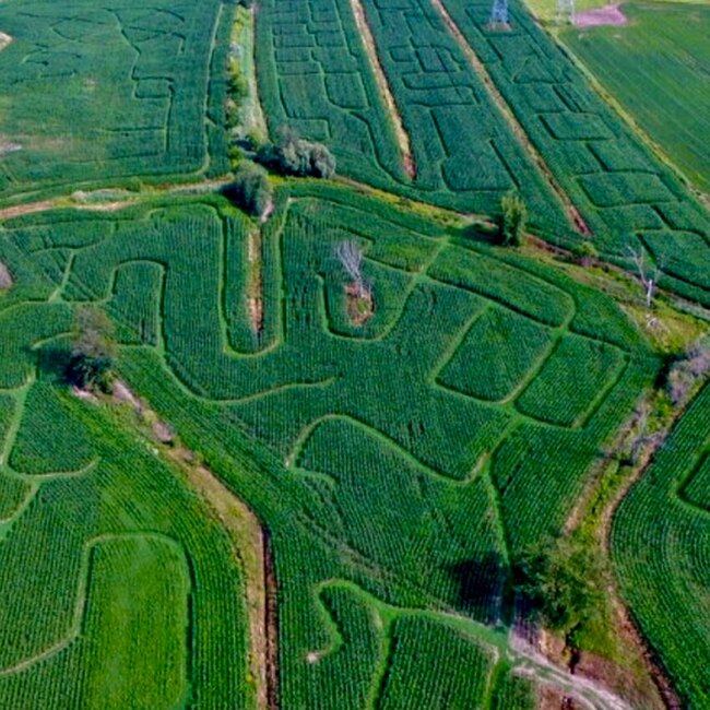 Labyrinthe Galaxie - Friandises et grignotines Montr&eacute;al
