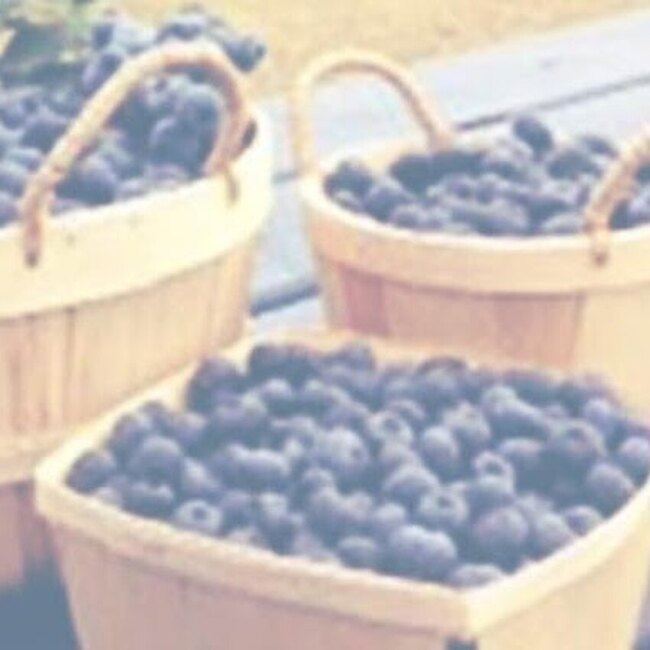 Bleueti&egrave;re Asselin - Friandises et grignotines Montr&eacute;al