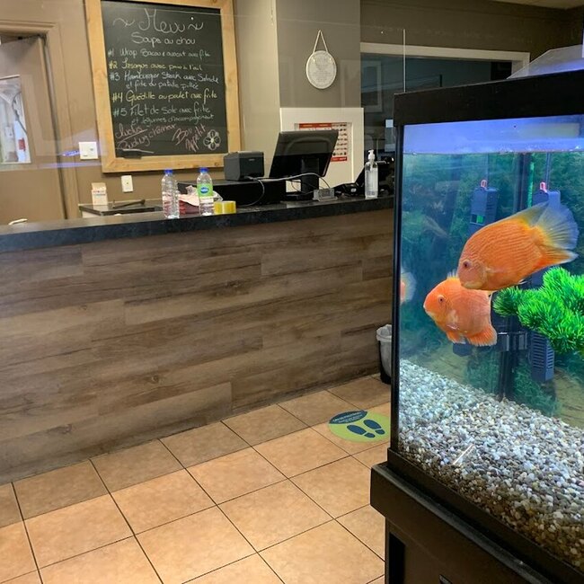 La Maison Baguettes - Restaurants à Montréal