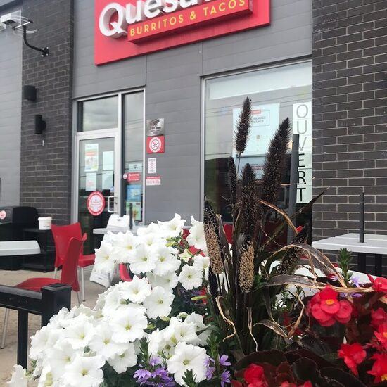 Quesada Burritos & Tacos - Restaurants de Drummondville