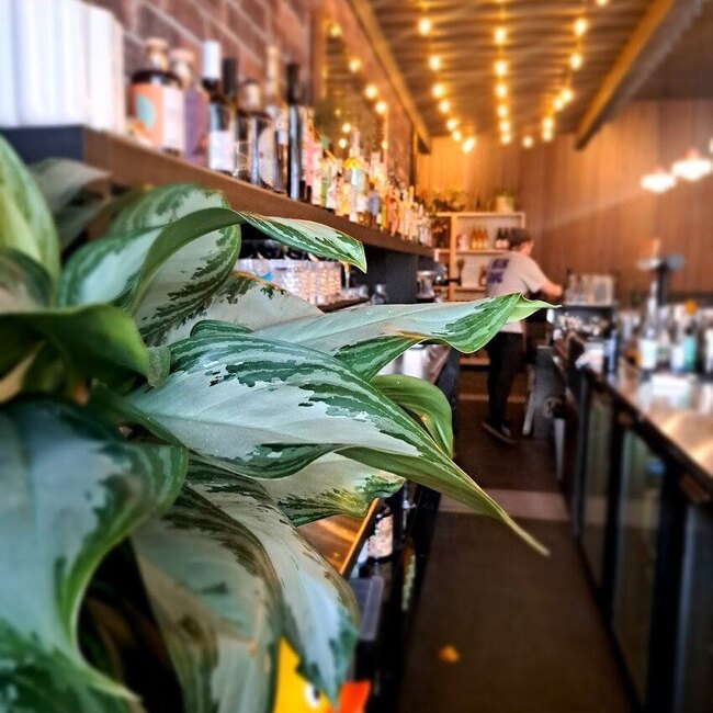 Bibine Buvette - Restaurants pr&egrave;s de: J2C2Z9