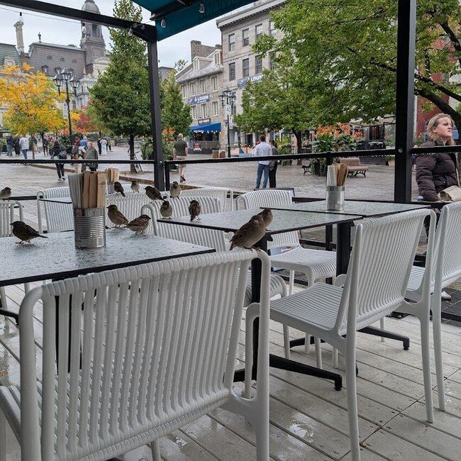 Mona Mediterranean Street Food - Greater Montreal Open Monday Restaurants