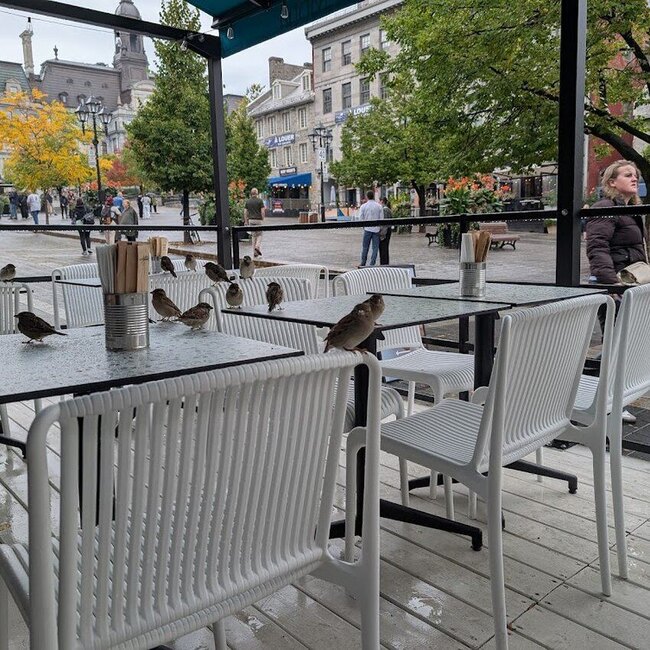 Mona Mediterranean Street Food - Restaurants &agrave; Montr&eacute;al