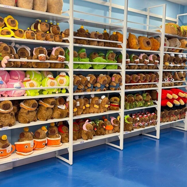 Café Capybara Restaurant