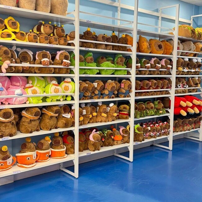 Café Capybara Montreal Restaurant: Menu, Reviews & Reserve (2026)