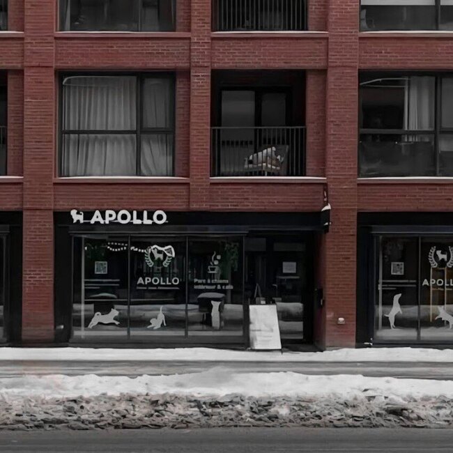 Apollo Indoor Dog Park & Coffee Bar -  Restaurants Near: H3G2E4