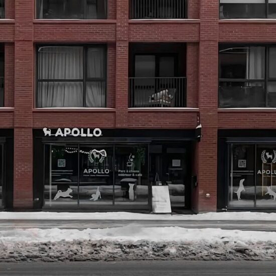 Apollo Indoor Dog Park & Coffee Bar - Restaurants in Montreal