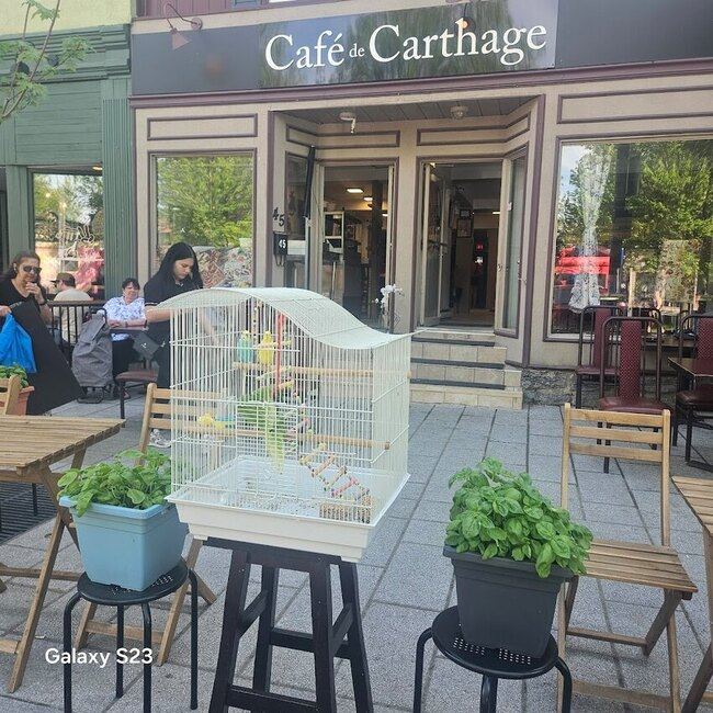 Café de Carthage Restaurant