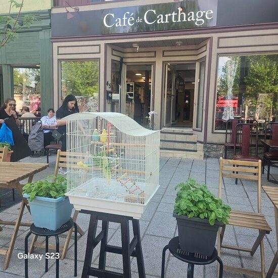 Caf&eacute; de Carthage -  Restaurants Near: J6E1E5