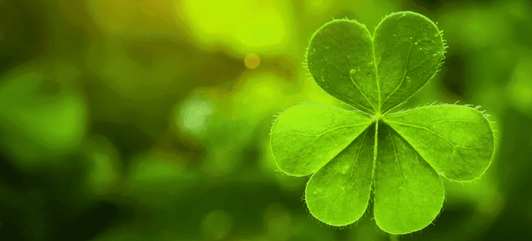 Où passer la Saint-Patrick cette année ?