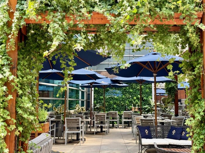 Renoir Unveils Summer Terrace in Collaboration with Champagne Pommery