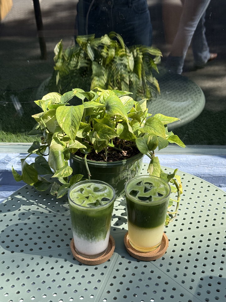 Where to Find the Best Matcha Lattes in Montreal