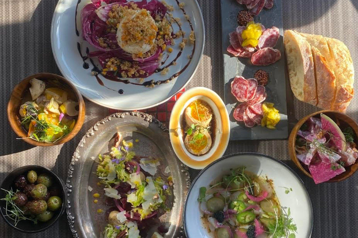 Our Suggestions for a Successful Picnic in Quebec!