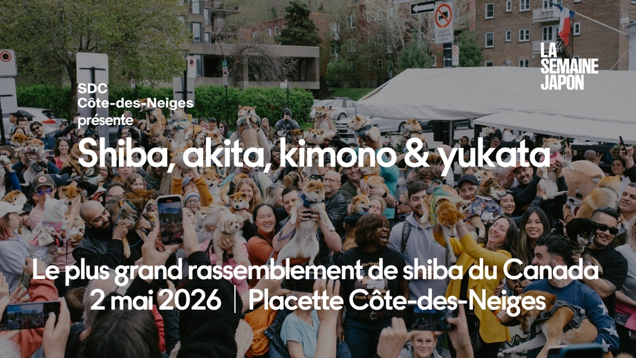 Le plus grand rassemblement de Shibas et Akitas du Canada &agrave; C&ocirc;te-des-Neiges