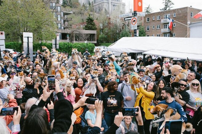 Rassemblement de Shibas et défilé de kimonos à Côte-des-Neiges