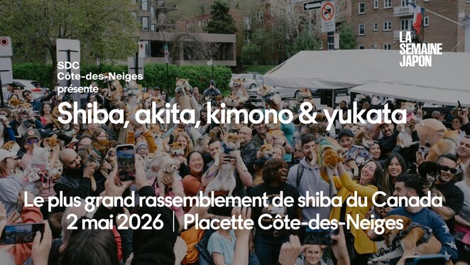 Canadas Largest Shiba & Akita Gathering Comes to C&ocirc;te-des-Neiges